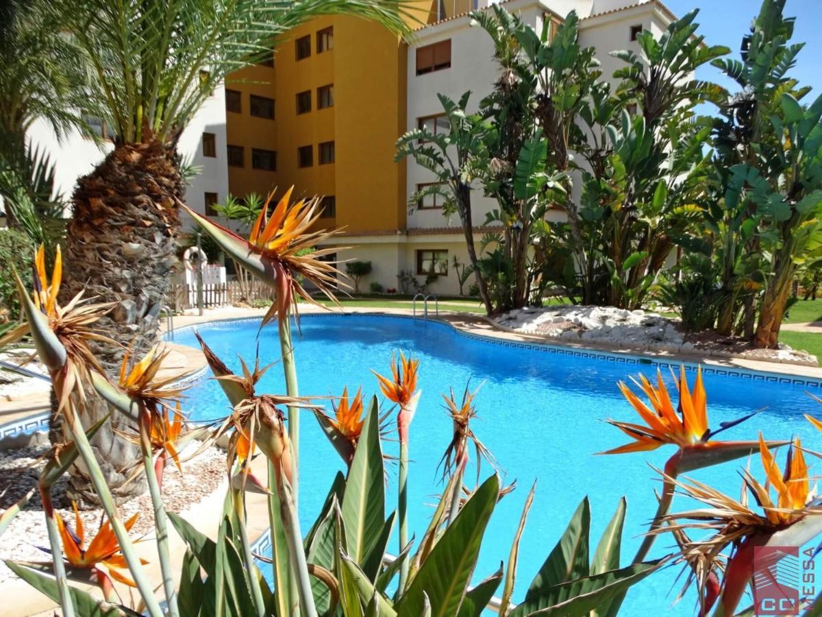 Apartamento Eleonor, La Entrada, Punta Prima, Torrevieja Dış mekan fotoğraf